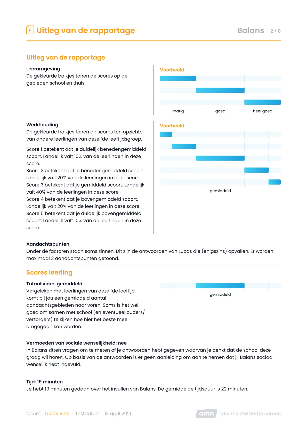 Balans Individuele Rapportage Voor